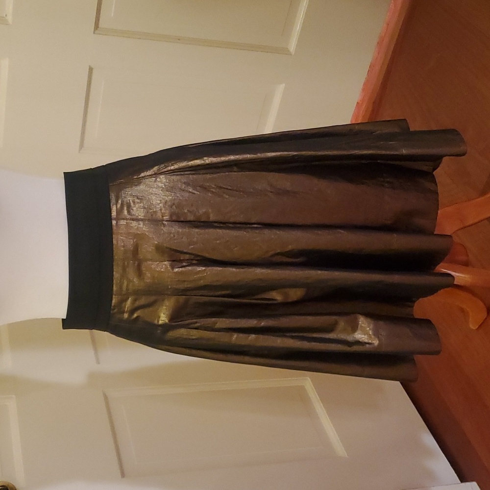 Gold Skirt